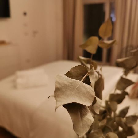 カッサーノ・デッレ・ムルジェ Aracoeli 20 Bed & Breakfast エクステリア 写真