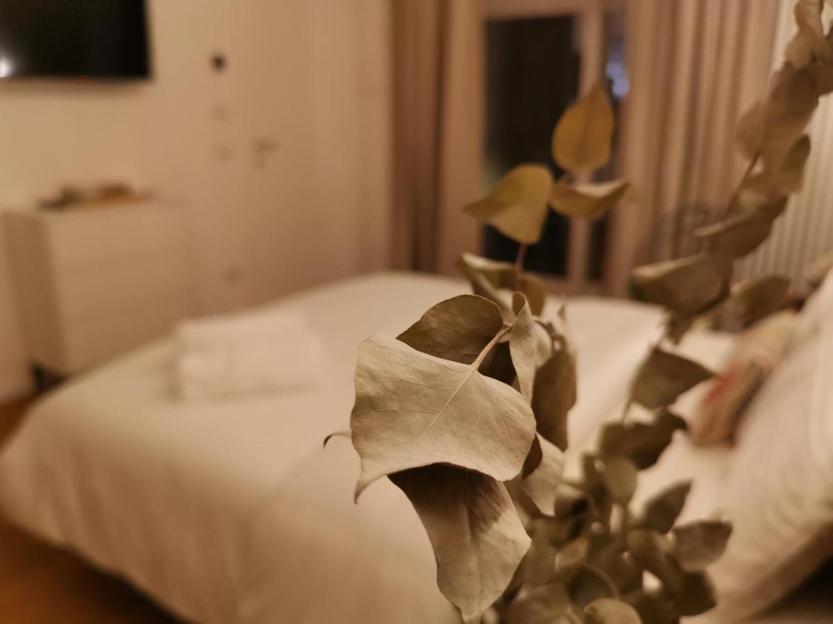 カッサーノ・デッレ・ムルジェ Aracoeli 20 Bed & Breakfast エクステリア 写真